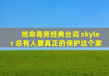 绝命毒师经典台词 skyler 总有人要真正的保护这个家